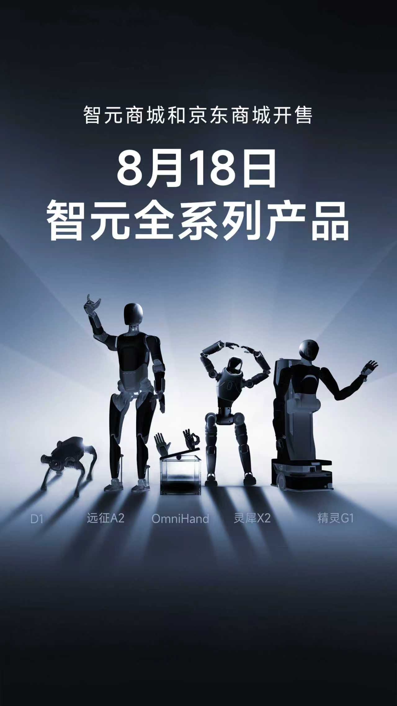 VSport-胜利全系列产品